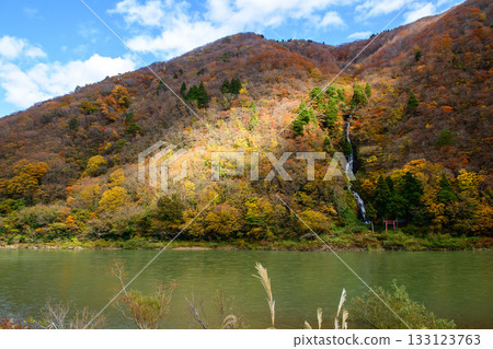 山形縣最上川的秋景,白絲瀑布 山形縣最上川的秋景,白絲瀑布 133123763