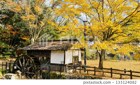 Watermill surrounded by autumn leaves Watermill surrounded by autumn leaves 133124082