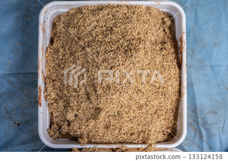 Rice husks in plastic tray. Rice husks are beneficial for planting as they improve soil drainage and aeration, retain moisture, and slowly release nutrients like silica and potassium. Rice husks in plastic tray. Rice husks are beneficial for planting as they improve soil drainage and aeration, retain moisture, and slowly release nutrients like silica and potassium. 133124158