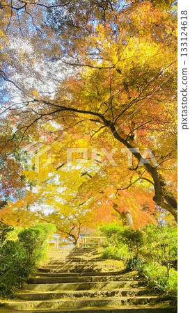 A landscape with climbing stairs and autumn leaves 133124618