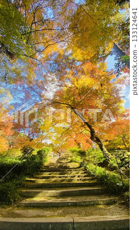 拾級而上,秋葉飄落,藍天白雲 拾級而上,秋葉飄落,藍天白雲 133124641