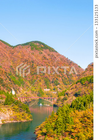 Shogawa Gorge (Autumn) Shogawa Gorge (Autumn) 133125133