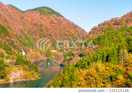 Shogawa Gorge (Autumn) 133125136