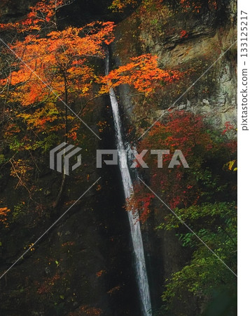 Sengataki Falls on a late autumn morning (afp20251112062348) 133125217