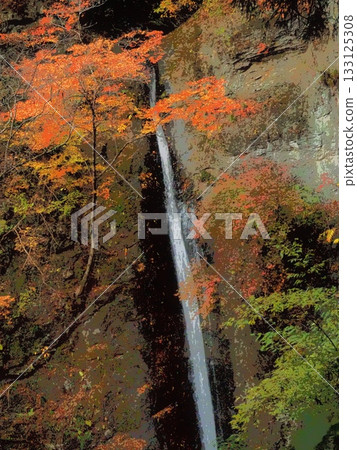 秋末清晨的森加塔基瀑布 (afr20251112062348) 秋末清晨的森加塔基瀑布 (afr20251112062348) 133125308