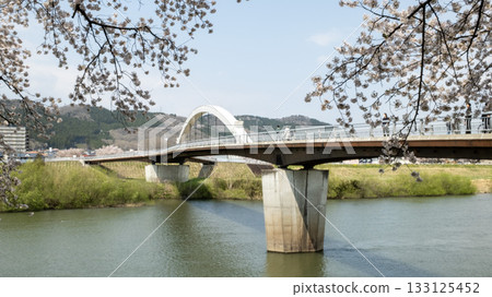 a bridge view with Sakura Cherry blossom in Hitome Senbonzakura, in Japan at miyagi, near ogawara 133125452
