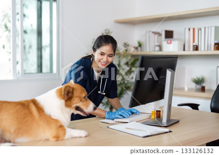 Veterinary Consultation. A veterinarian using a computer while caring for a corgi dog in a clinic. Veterinary Consultation. A veterinarian using a computer while caring for a corgi dog in a clinic. 133126132