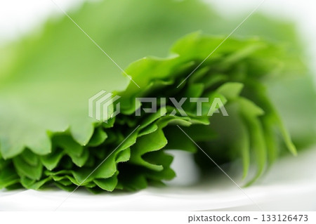 Green wave of shiso leaves (a bunch of shiso leaves seen from the side) 133126473