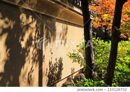 Adachi City Museum of History & Adachi City Higashibuchie Garden 133126732