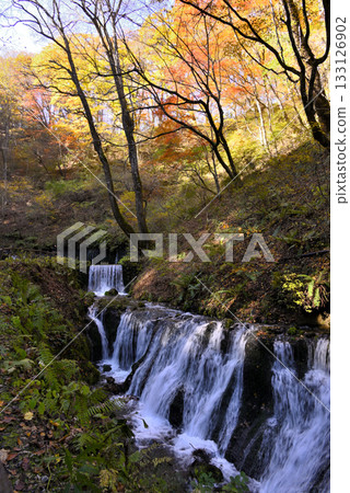 Shiraito Falls Karuizawa Shiraito Falls Karuizawa 133126902