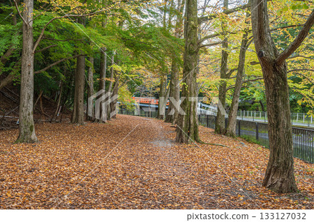 琵琶湖疏水道 京都市 133127032