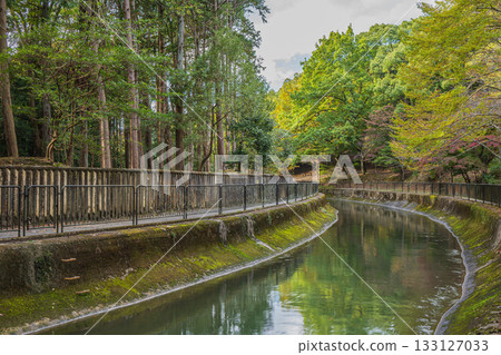 琵琶湖疏水道 京都市 133127033
