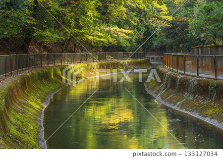 Lake Biwa Canal Kyoto City Lake Biwa Canal Kyoto City 133127034