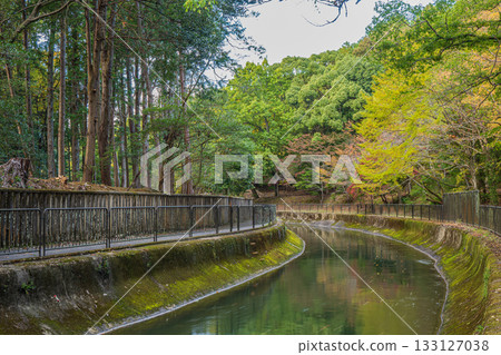 Lake Biwa Canal Kyoto City 133127038
