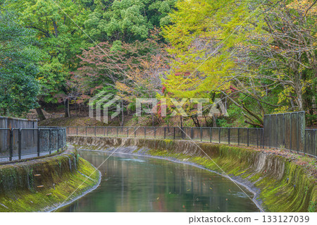 Lake Biwa Canal Kyoto City 133127039