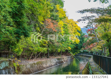 琵琶湖疏水道 京都市 133127041