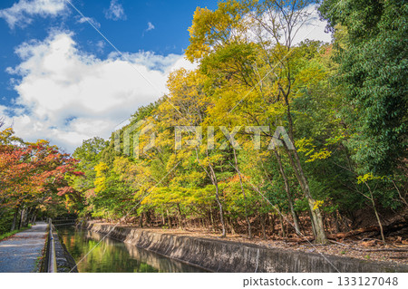 琵琶湖疏水道 京都市 133127048
