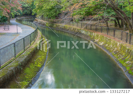 Lake Biwa Canal Kyoto City 133127217