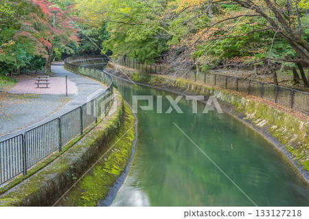 琵琶湖疏水道 京都市 琵琶湖疏水道 京都市 133127218
