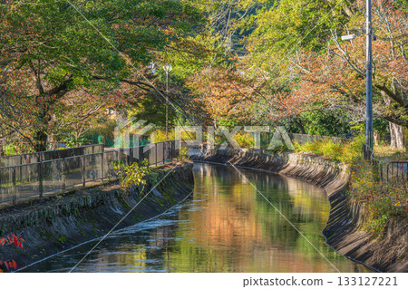 Lake Biwa Canal, Higashiyama Natural Green Space, Kyoto City 133127221