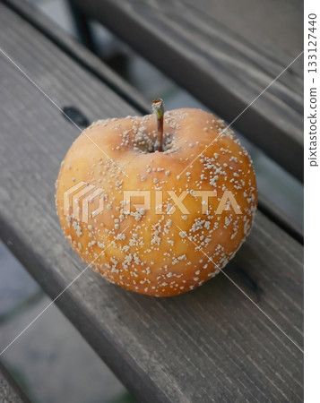 Moldy Apple on Wood: Nature's Decomposition Process 133127440