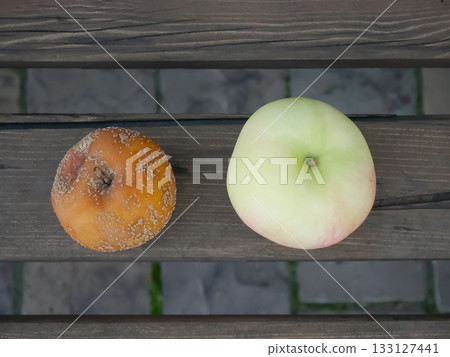 Fresh Versus Rotten Apples: Nature's Life Cycle 133127441