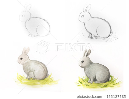 Rabbit drawing tutorial illustration. Bunny sketch painting step-by-step masterclass. Art education crafts children Easter. Watercolor style white background 133127585