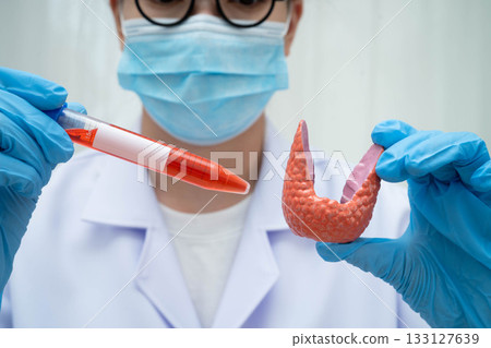 Doctor holding thyroid gland model and blood sample test tube in laboratory. 133127639