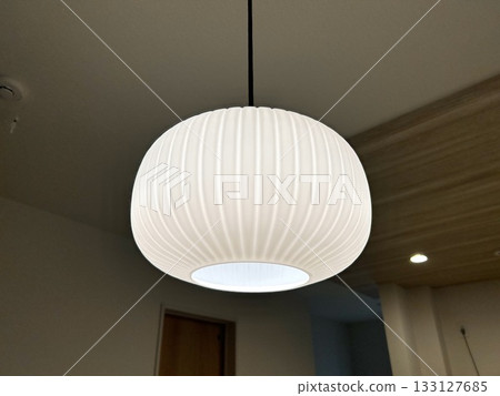 Circular pendant light 133127685