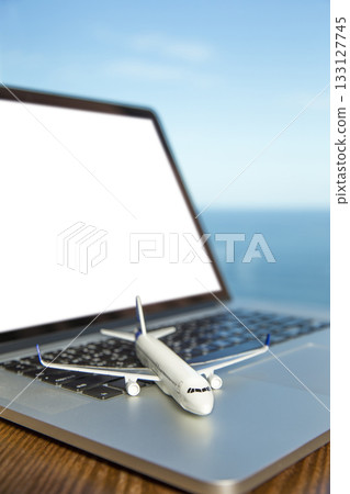 Search for airline tickets on your computer 133127745