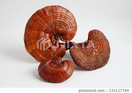 Lingzhi or Reishi mushroom with capsules, organic natural healthy food. Lingzhi or Reishi mushroom with capsules, organic natural healthy food. 133127784