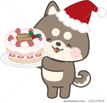 一隻笑容燦爛的黑色柴犬抱著聖誕蛋糕 133127814