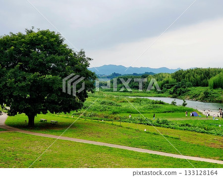 Large trees, mountains, rivers, and idyllic rural scenery Large trees, mountains, rivers, and idyllic rural scenery 133128164