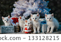 Christmas present and white kitten 133128215