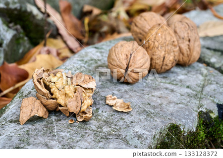 raw nuts on rocks outdoor raw nuts on rocks outdoor 133128372