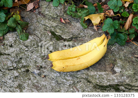 Two Bananas on rocks in close up Two Bananas on rocks in close up 133128375