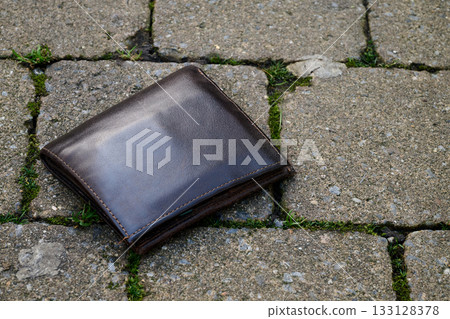 Wallet on coblestones from garden cabin 133128378