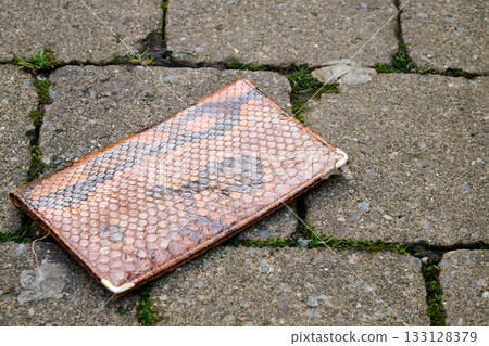 Wallet on coblestones from garden cabin 133128379