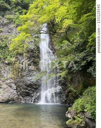 大阪府箕面市的箕面瀑布 133128545