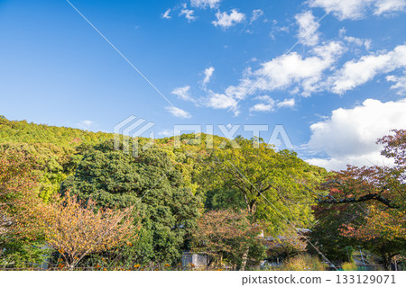 Lake Biwa Canal, near the exit of the Moroha Tunnel, Kyoto City 133129071