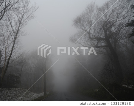 A road through a broadleaf forest shrouded in thick fog in early winter A road through a broadleaf forest shrouded in thick fog in early winter 133129188