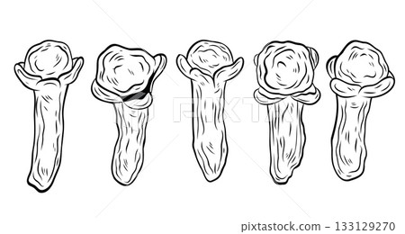 Set, clip art of monochrome botanical spicy dry cloves spice. Graphic hand drawn ink black and white vector. Mulled wine component 133129270