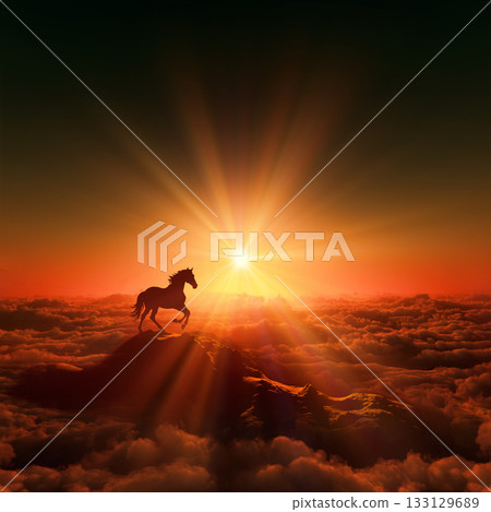 Horse, equine, horse, Year of the Horse, white horse, animal, mammal, fine horse, wild, Japan, dawn, sunrise, 133129689