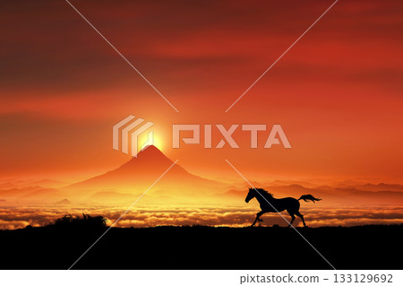 Horse, equine, horse, Year of the Horse, white horse, animal, mammal, fine horse, wild, Japan, dawn, sunrise, Horse, equine, horse, Year of the Horse, white horse, animal, mammal, fine horse, wild, Japan, dawn, sunrise, 133129692