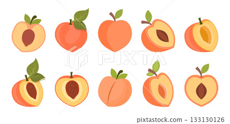 Peach fruit icon set collection in flat style. Apricot vector illustration on isolated background. Nectarine nature snack sign business concept. Peach fruit icon set collection in flat style. Apricot vector illustration on isolated background. Nectarine nature snack sign business concept. 133130126