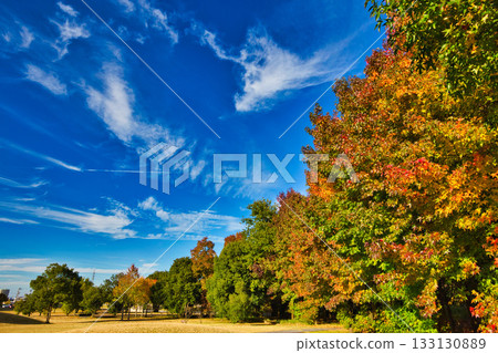 深秋 133130889