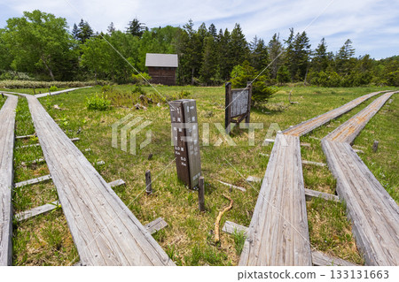 初夏時節的大澤沼湖-沼尻支線 初夏時節的大澤沼湖-沼尻支線 133131663