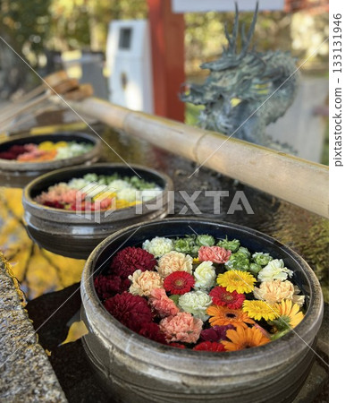 Hanatemizu 133131946