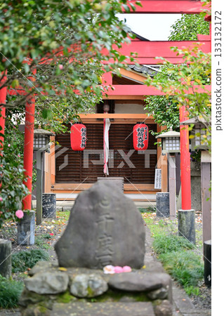 Cherry blossoms at Senbon Shakado, April 2024 133132172