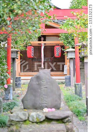 Cherry blossoms at Senbon Shakado, April 2024 Cherry blossoms at Senbon Shakado, April 2024 133132173